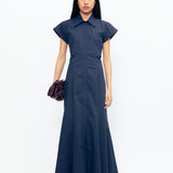 Avici Dress
