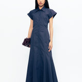 Avici Dress