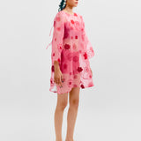 Katya Embroidered Dress - Pink