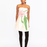 Amelia Embroidered Mini Dress - Ivory