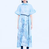 Serenza Dress