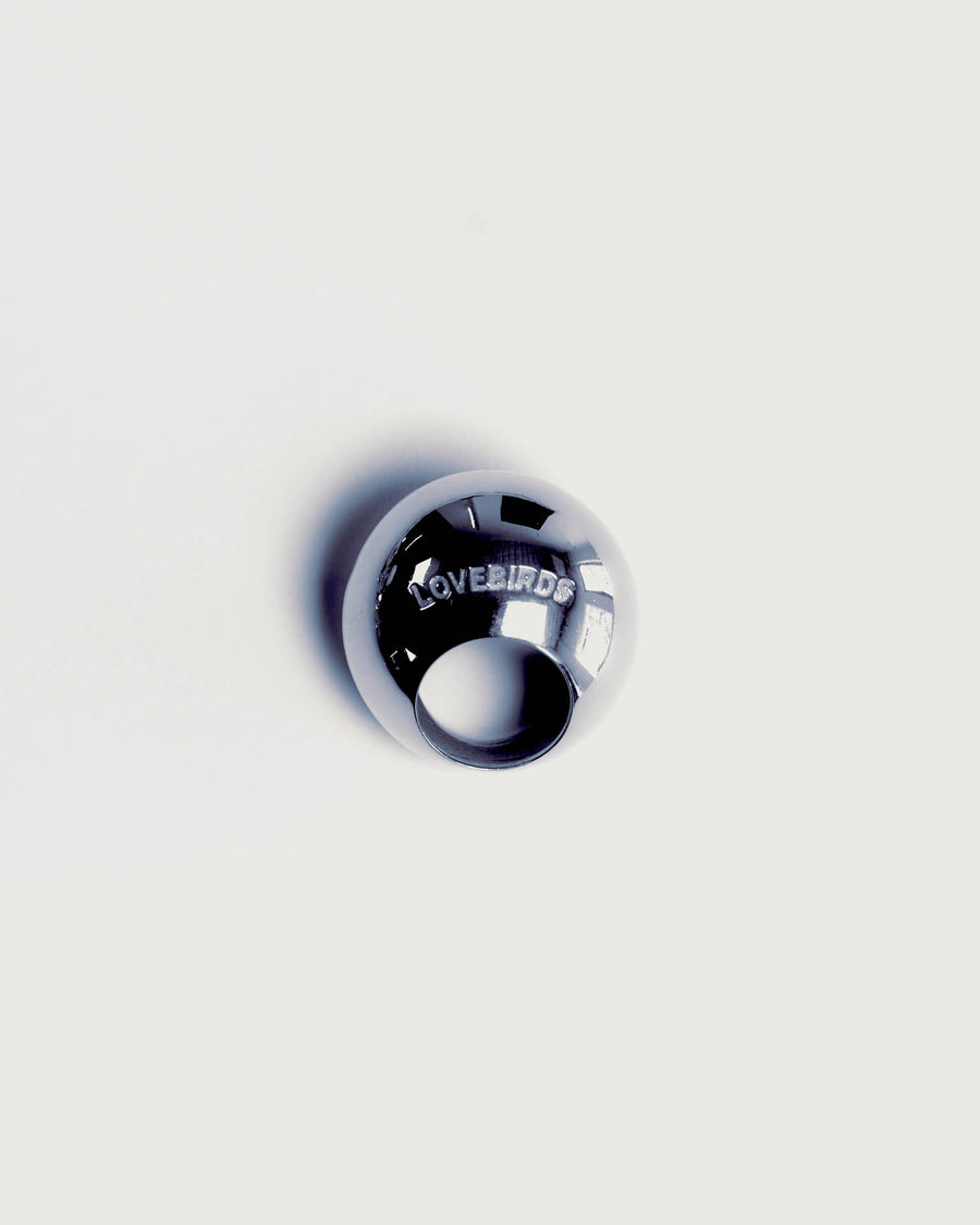 Circle of Life Ring - Silver